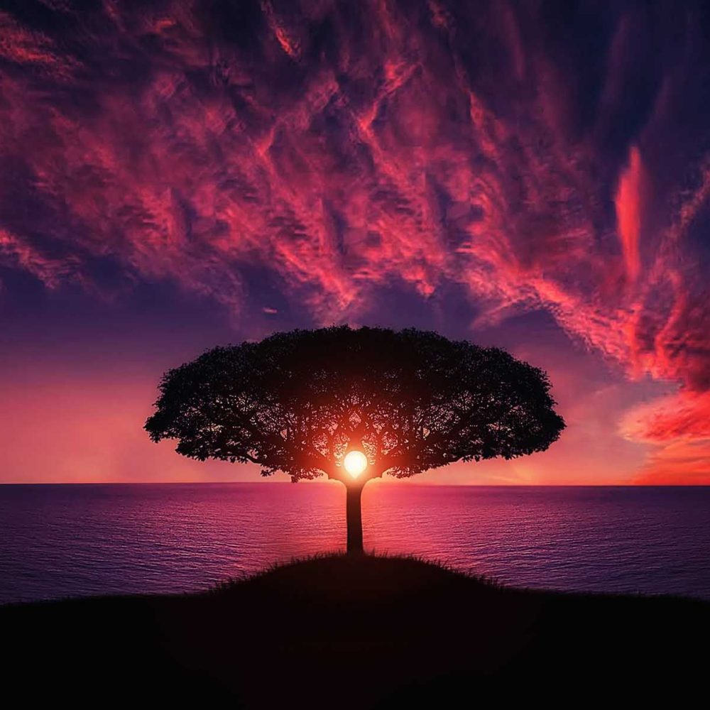 Amazing Sunset