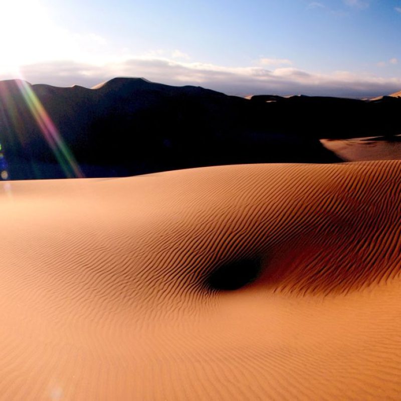 The Desert